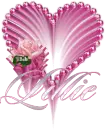 Lilie