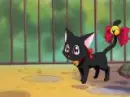 Ichigo Neko Form