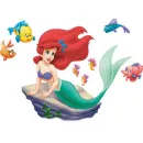 ariel