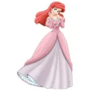 ariel