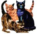 Glitter Cats