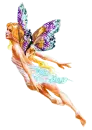Butterfly Fairy