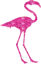 Pink Flamingo