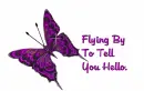 Hello~Butterfly