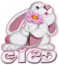 Gied