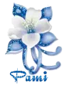 Pami