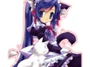Maid cat
