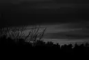 dark sky