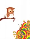 owl rainbow