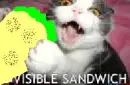 Visible sanwhich