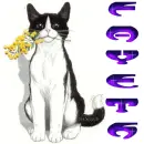 Fayeth (flower kitty)
