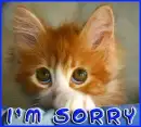 im sorry