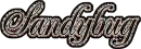 SandyBug 2