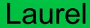 Laurel