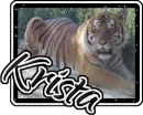 Krista Tiger 2