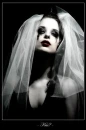 Kiss the bride