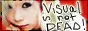 visual kei is not dead