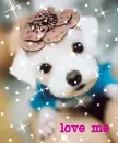 Love Me