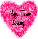 Hugs From Sunny!