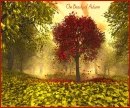 Beauty of Autumn