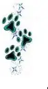 paw prints