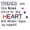 Friends Are Like Bras