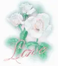 Lane