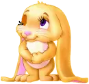 bunny