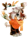 cute puppy