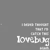 Lovebug