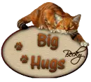 Cat Hug