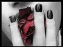 Rose Kiss
