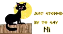 Cat saying hi