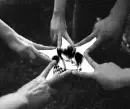 friendship star