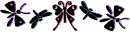 Butterflies & Dragonflies 