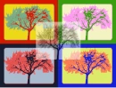 rainbow trees