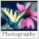 Photography