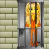 paris getting out of jail