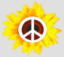 Peace is in bloom babii