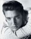 ELVIS