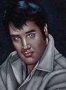 ELVIS