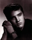 ELVIS