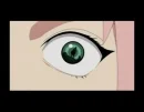 sakura's eye's
