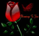 Blessings To You
