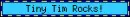 Tiny Tim Rocks