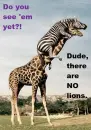 scared zebra,chill giraffe