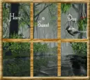 Have A Sweet Day