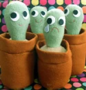 cactas