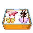 Insect Collection