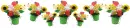 Flowers+Bugs divider